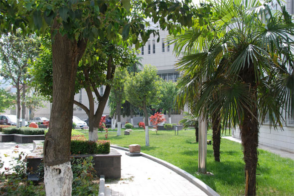 20120115031622224.jpg