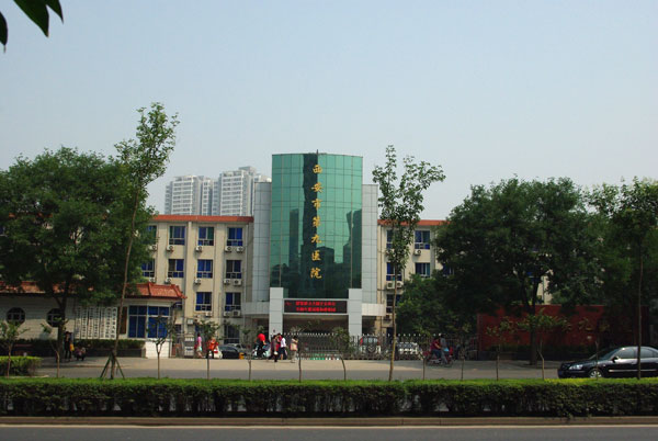 free_20101210181324304.jpg